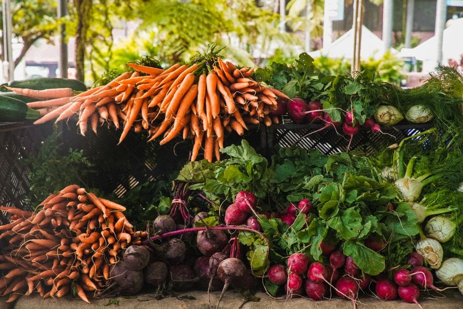 Gut Microbiome and Health: What the Research Says