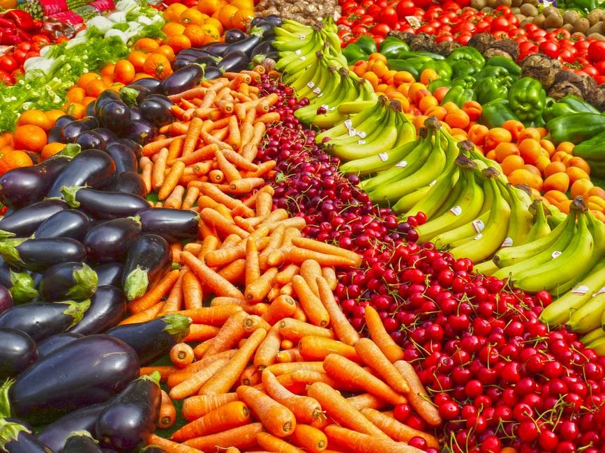 A diverse, plant-rich diet feeds a diverse gut microbiome