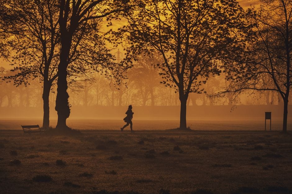 Zone 2 Cardio: The Science of Training Slow to Get Fitter